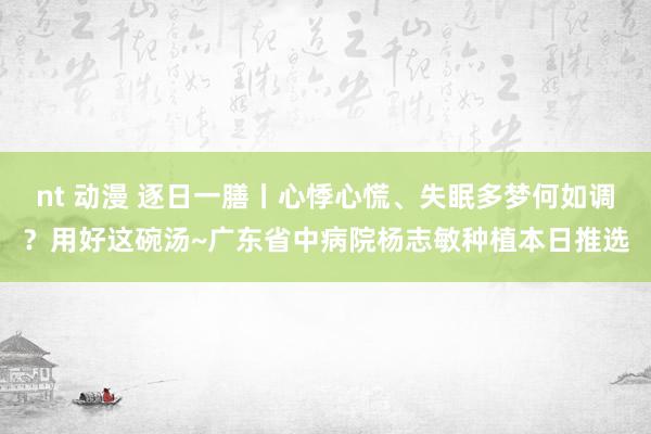 nt 动漫 逐日一膳丨心悸心慌、失眠多梦何如调？用好这碗汤~广东省中病院杨志敏种植本日推选