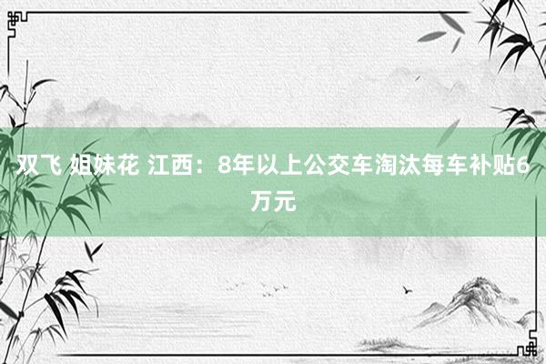 双飞 姐妹花 江西：8年以上公交车淘汰每车补贴6万元