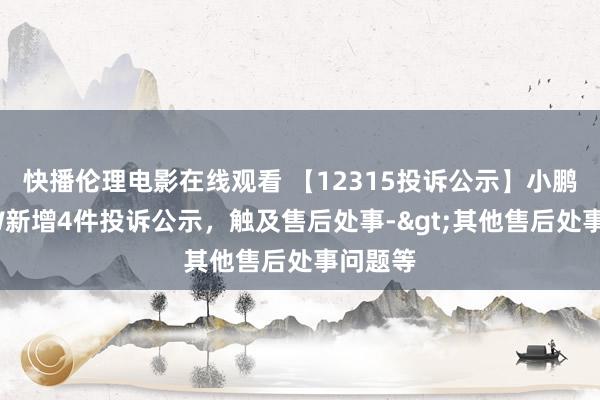 快播伦理电影在线观看 【12315投诉公示】小鹏汽车-W新增4件投诉公示，触及售后处事->其他售后处事问题等