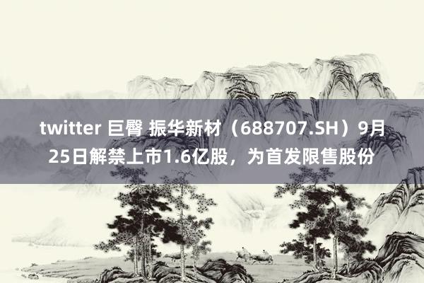 twitter 巨臀 振华新材（688707.SH）9月25日解禁上市1.6亿股，为首发限售股份