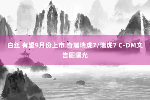 白丝 有望9月份上市 奇瑞瑞虎7/瑞虎7 C-DM文告图曝光