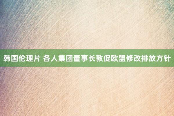 韩国伦理片 各人集团董事长敦促欧盟修改排放方针