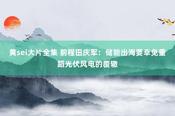 黄sei大片全集 前程田庆军：储能出海要幸免重蹈光伏风电的覆辙