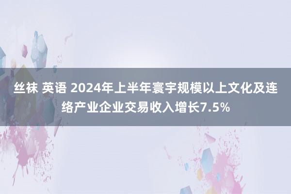 丝袜 英语 2024年上半年寰宇规模以上文化及连络产业企业交易收入增长7.5%