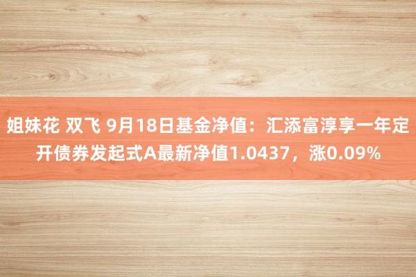 姐妹花 双飞 9月18日基金净值：汇添富淳享一年定开债券发起式A最新净值1.0437，涨0.09%