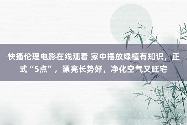 快播伦理电影在线观看 家中摆放绿植有知识，正式“5点”，漂亮长势好，净化空气又旺宅