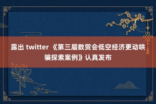 露出 twitter 《第三届数贸会低空经济更动哄骗探索案例》认真发布