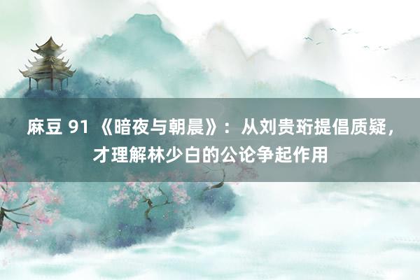 麻豆 91 《暗夜与朝晨》：从刘贵珩提倡质疑，才理解林少白的公论争起作用