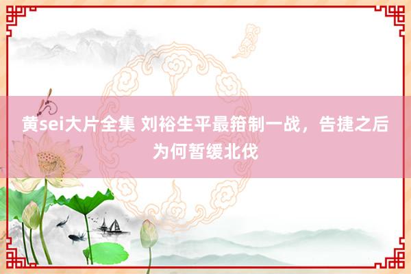 黄sei大片全集 刘裕生平最箝制一战，告捷之后为何暂缓北伐