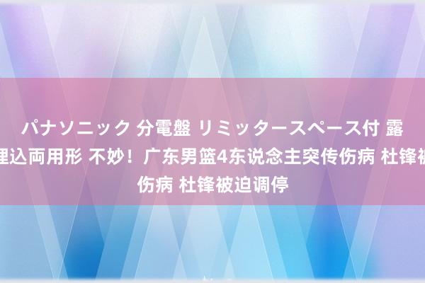 パナソニック 分電盤 リミッタースペース付 露出・半埋込両用形 不妙！广东男篮4东说念主突传伤病 杜锋被迫调停