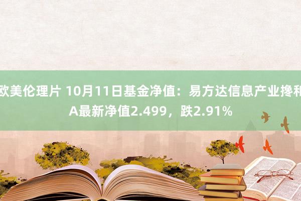 欧美伦理片 10月11日基金净值：易方达信息产业搀和A最新净值2.499，跌2.91%