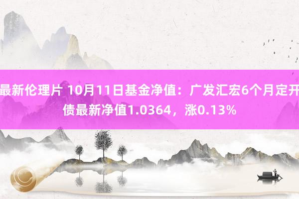 最新伦理片 10月11日基金净值：广发汇宏6个月定开债最新净值1.0364，涨0.13%