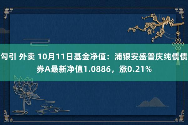 勾引 外卖 10月11日基金净值：浦银安盛普庆纯债债券A最新净值1.0886，涨0.21%