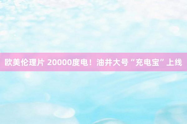 欧美伦理片 20000度电！油井大号“充电宝”上线