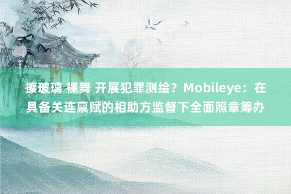 擦玻璃 裸舞 开展犯罪测绘？Mobileye：在具备关连禀赋的相助方监督下全面照章筹办