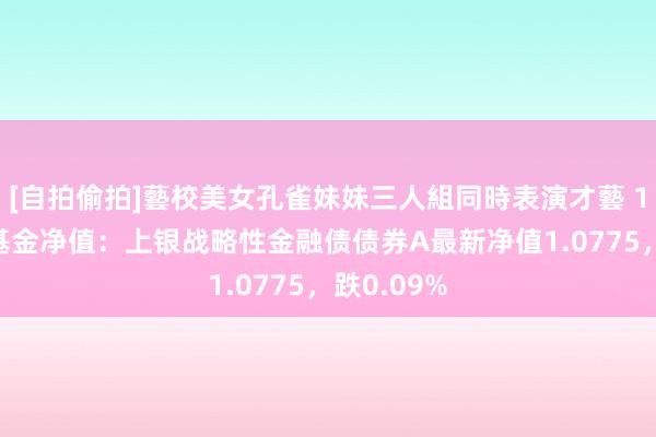 [自拍偷拍]藝校美女孔雀妹妹三人組同時表演才藝 10月18日基金净值：上银战略性金融债债券A最新净值1.0775，跌0.09%