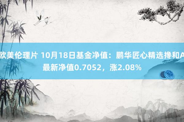 欧美伦理片 10月18日基金净值：鹏华匠心精选搀和A最新净值0.7052，涨2.08%