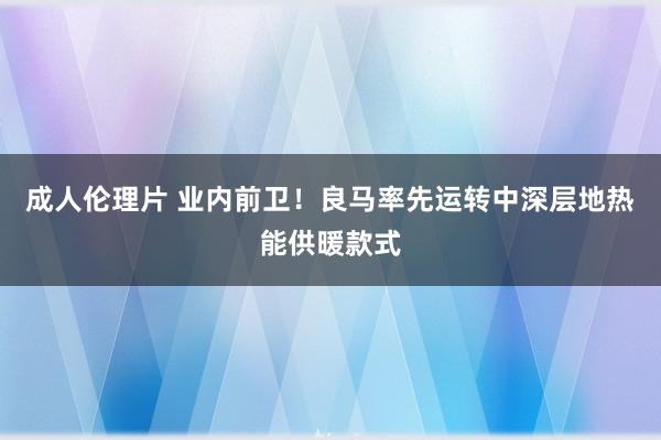 成人伦理片 业内前卫！良马率先运转中深层地热能供暖款式