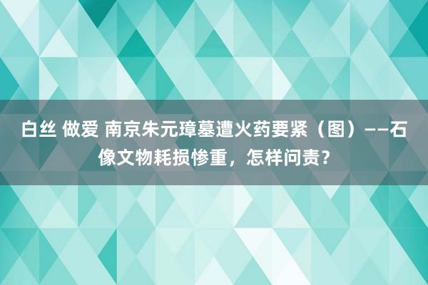 白丝 做爱 南京朱元璋墓遭火药要紧（图）——石像文物耗损惨重，怎样问责？