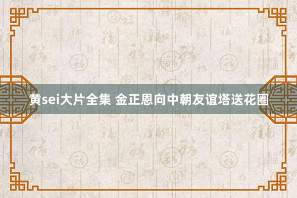 黄sei大片全集 金正恩向中朝友谊塔送花圈