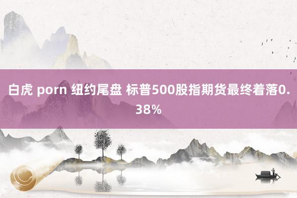 白虎 porn 纽约尾盘 标普500股指期货最终着落0.38%