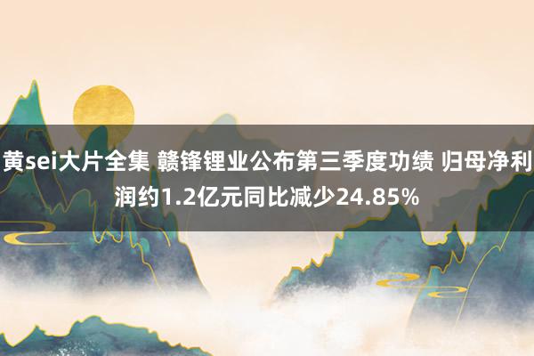 黄sei大片全集 赣锋锂业公布第三季度功绩 归母净利润约1.2亿元同比减少24.85%