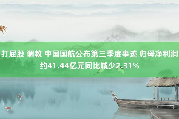 打屁股 调教 中国国航公布第三季度事迹 归母净利润约41.44亿元同比减少2.31%