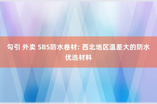 勾引 外卖 SBS防水卷材: 西北地区温差大的防水优选材料