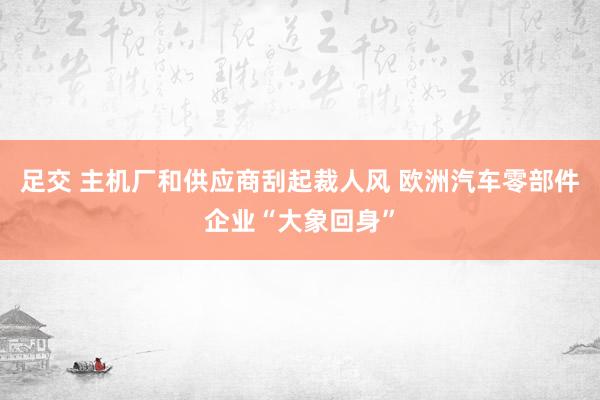 足交 主机厂和供应商刮起裁人风 欧洲汽车零部件企业“大象回身”