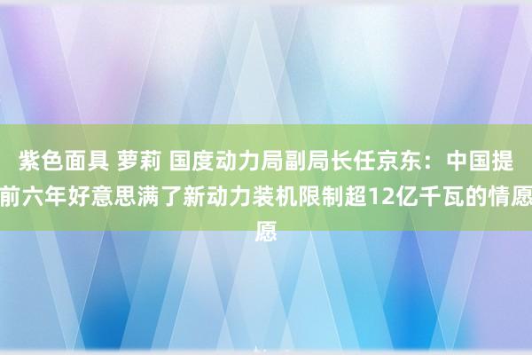 紫色面具 萝莉 国度动力局副局长任京东：中国提前六年好意思满了新动力装机限制超12亿千瓦的情愿