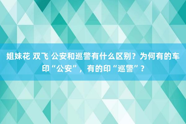 姐妹花 双飞 公安和巡警有什么区别？为何有的车印“公安”，有的印“巡警”？