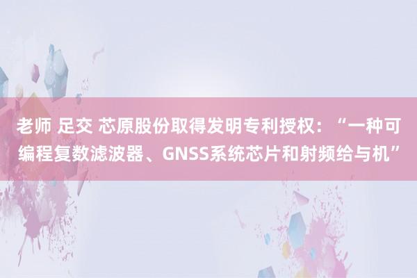 老师 足交 芯原股份取得发明专利授权：“一种可编程复数滤波器、GNSS系统芯片和射频给与机”