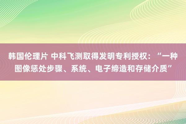 韩国伦理片 中科飞测取得发明专利授权：“一种图像惩处步骤、系统、电子缔造和存储介质”