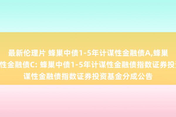 最新伦理片 蜂巢中债1-5年计谋性金融债A，蜂巢中债1-5年计谋性金融债C: 蜂巢中债1-5年计谋性金融债指数证券投资基金分成公告