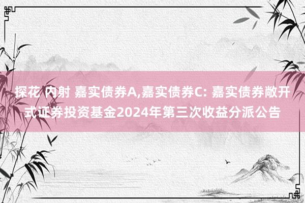 探花 内射 嘉实债券A，嘉实债券C: 嘉实债券敞开式证券投资基金2024年第三次收益分派公告