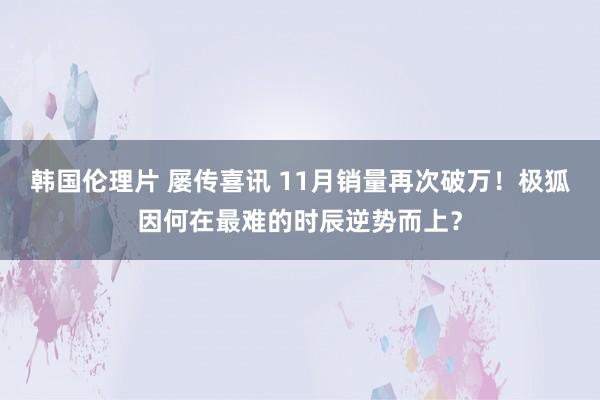 韩国伦理片 屡传喜讯 11月销量再次破万！极狐因何在最难的时辰逆势而上？