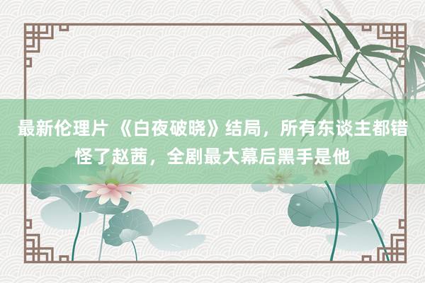 最新伦理片 《白夜破晓》结局，所有东谈主都错怪了赵茜，全剧最大幕后黑手是他