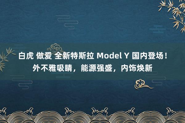 白虎 做爱 全新特斯拉 Model Y 国内登场！外不雅吸睛，能源强盛，内饰焕新