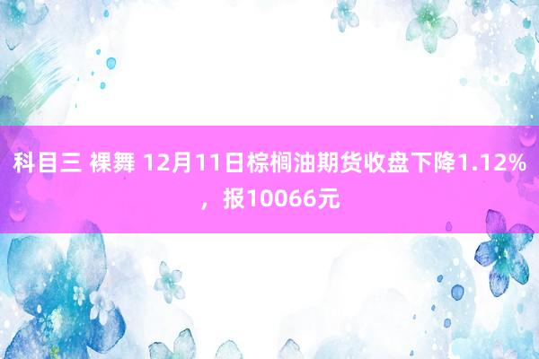 科目三 裸舞 12月11日棕榈油期货收盘下降1.12%，报10066元