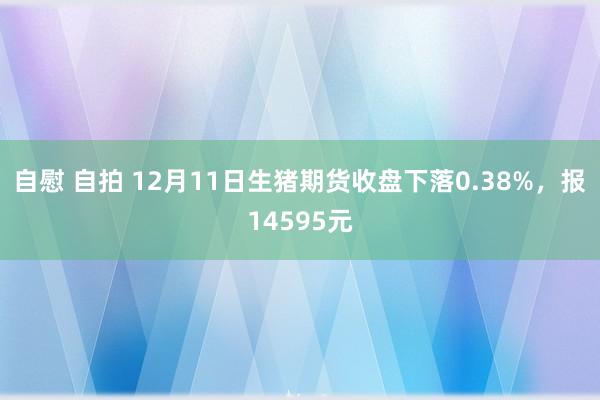 自慰 自拍 12月11日生猪期货收盘下落0.38%，报14595元