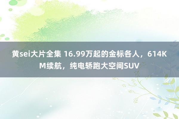 黄sei大片全集 16.99万起的金标各人，614KM续航，纯电轿跑大空间SUV