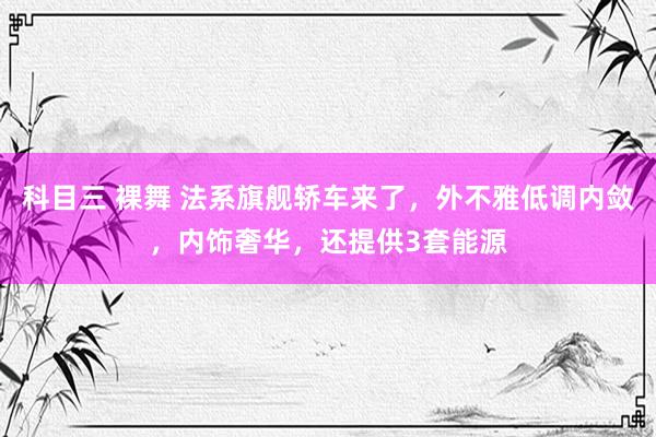 科目三 裸舞 法系旗舰轿车来了，外不雅低调内敛，内饰奢华，还提供3套能源