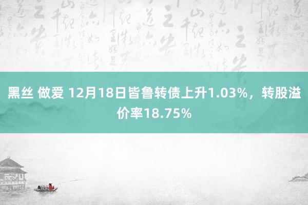 黑丝 做爱 12月18日皆鲁转债上升1.03%，转股溢价率18.75%