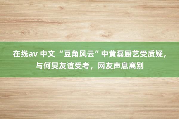 在线av 中文 “豆角风云”中黄磊厨艺受质疑，与何炅友谊受考，网友声息离别