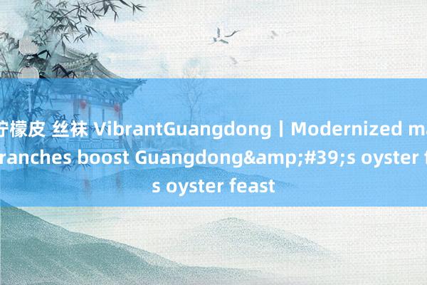 柠檬皮 丝袜 VibrantGuangdong丨Modernized marine ranches boost Guangdong&#39;s oyster feast