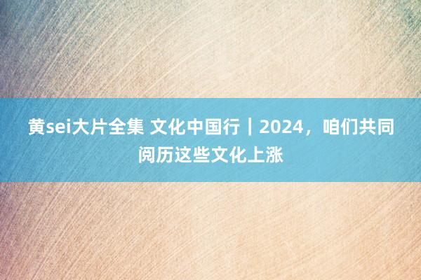 黄sei大片全集 文化中国行｜2024，咱们共同阅历这些文化上涨