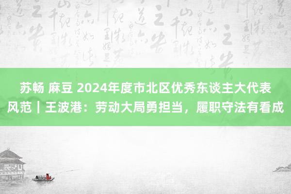 苏畅 麻豆 2024年度市北区优秀东谈主大代表风范｜王波港：劳动大局勇担当，履职守法有看成