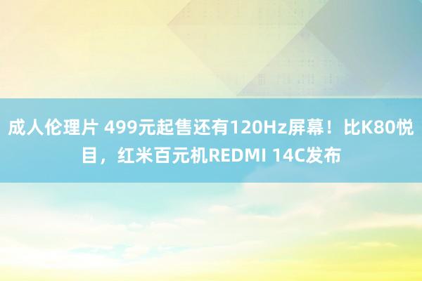 成人伦理片 499元起售还有120Hz屏幕！比K80悦目，红米百元机REDMI 14C发布