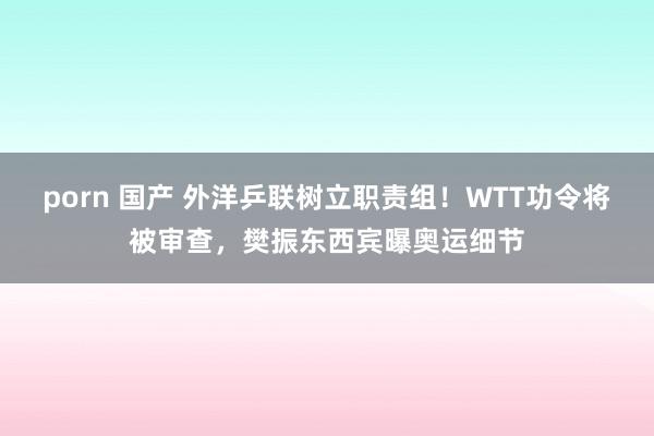 porn 国产 外洋乒联树立职责组！WTT功令将被审查，樊振东西宾曝奥运细节