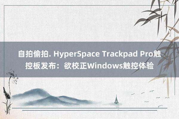 自拍偷拍. HyperSpace Trackpad Pro触控板发布：欲校正Windows触控体验